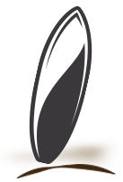 Skatinger - Pick your size 14'0''